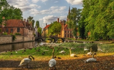 Markt 7
