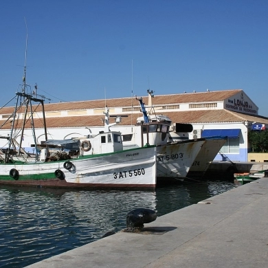 Puerto de Calpe