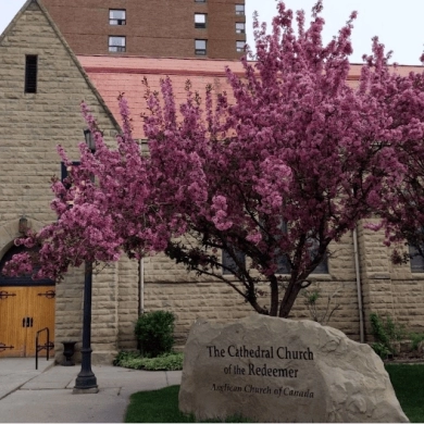 The Cathedral Church of the Redeemer