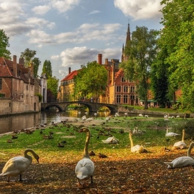 Markt 7