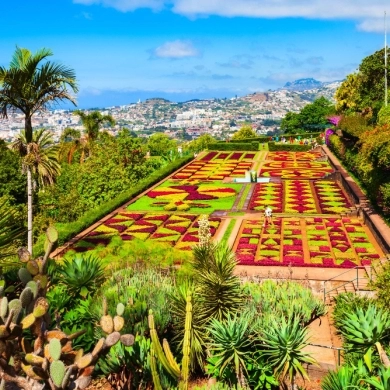 Madeira Botanical Garden